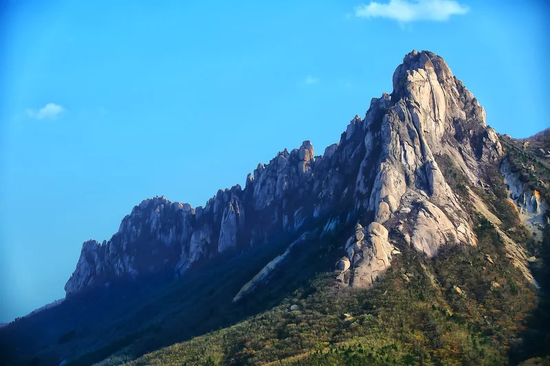 울산흥신소